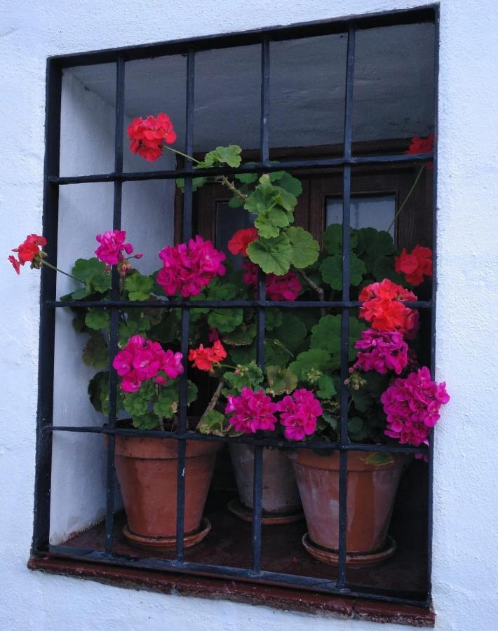 Casa Rural En กราซาเลมา ภายนอก รูปภาพ